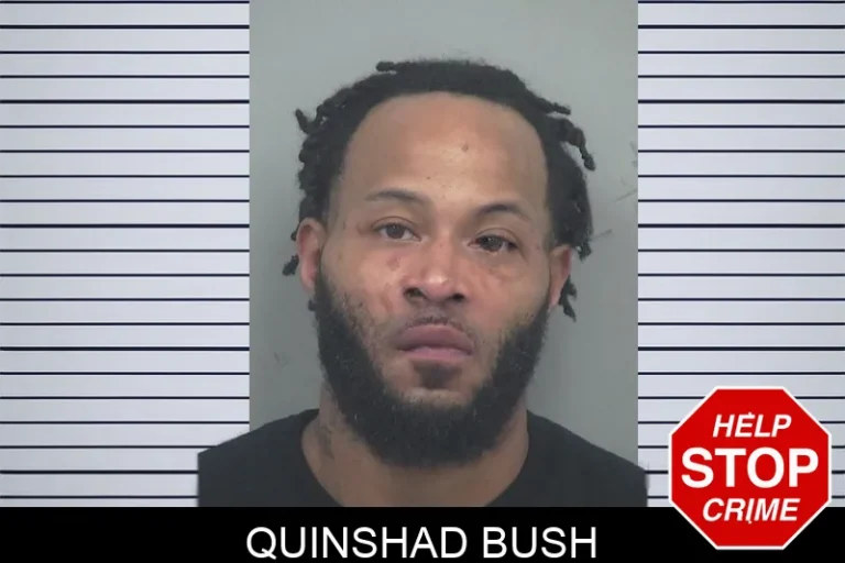 Quinshad Bush