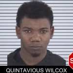 Quintavious Wilcox mugshot