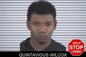 Quintavious Wilcox mugshot