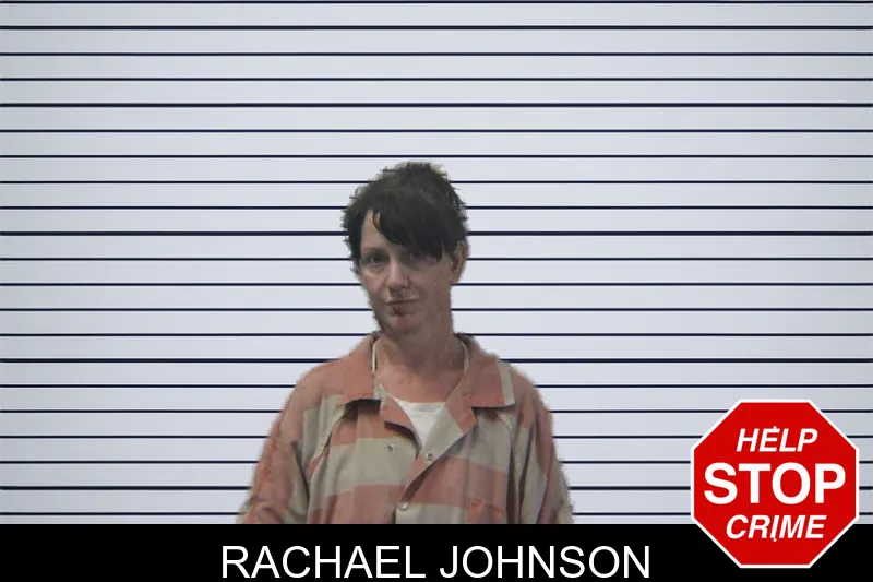 Rachael Johnson mugshot – Stephens County , Georgia Rachael Johnson mugshot