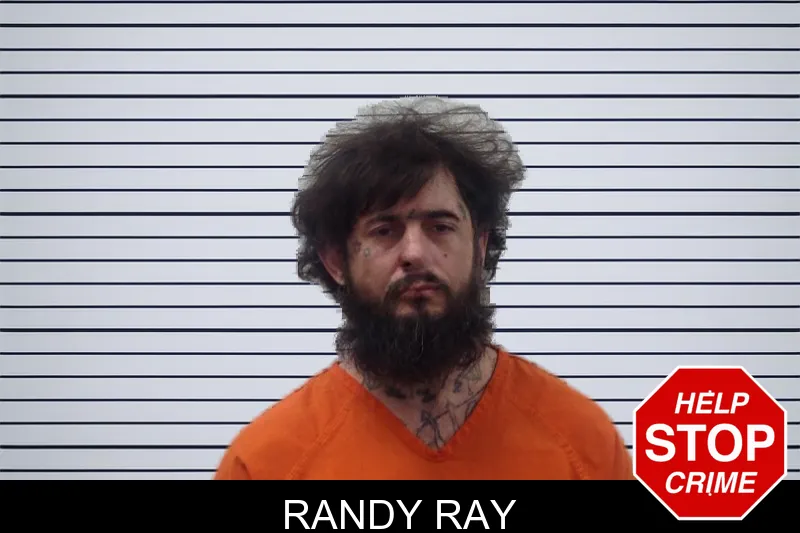 Randy Ray mugshot