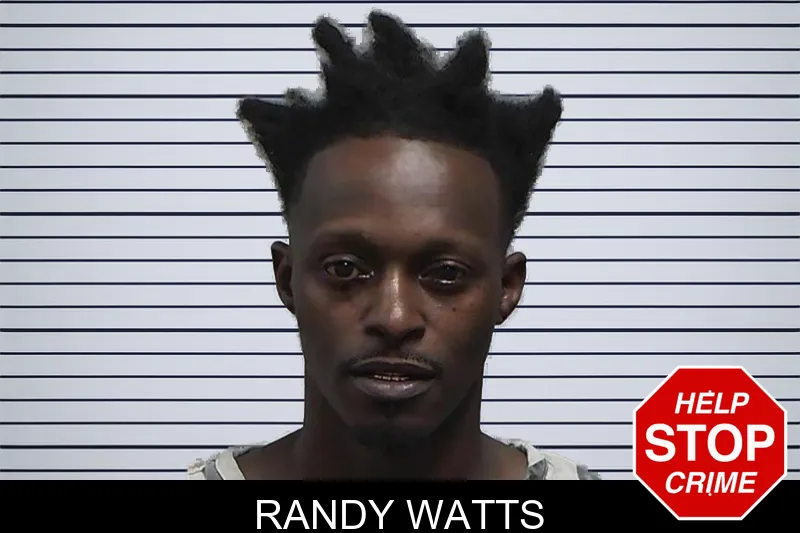 Randy Watts mugshot