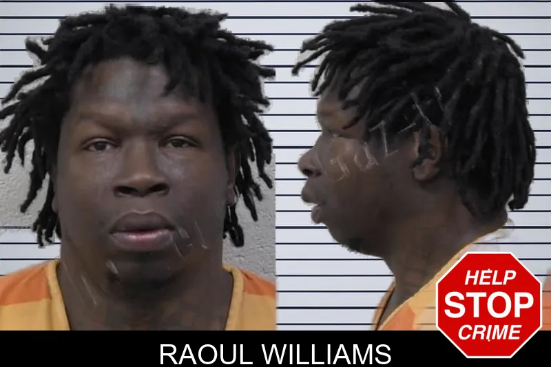 Raoul Williams mugshot – Paulding County , Georgia Raoul Williams mugshot