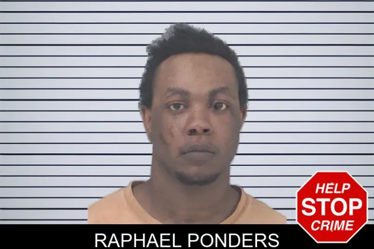 Raphael Ponders