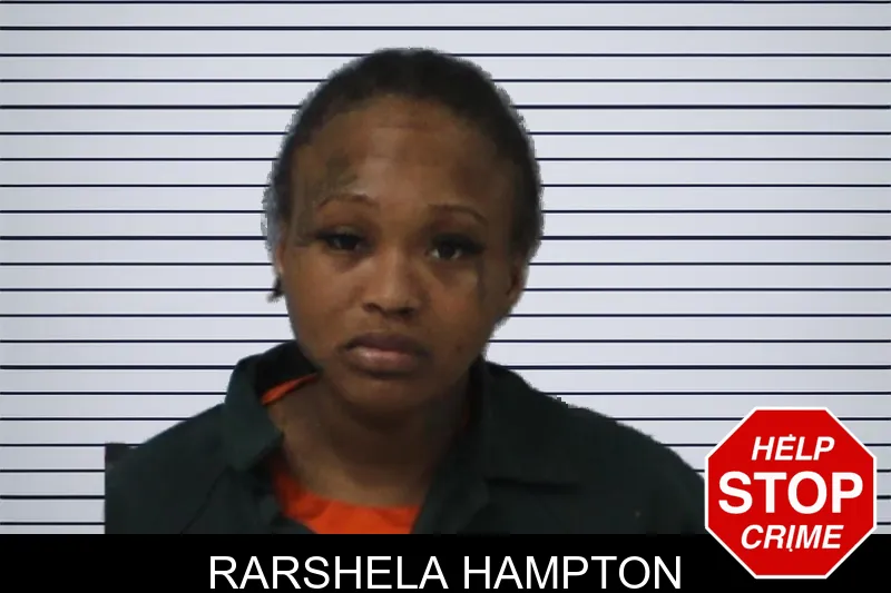 Rarshela Hampton mugshot – Mcintosh County , Georgia Rarshela Hampton mugshot
