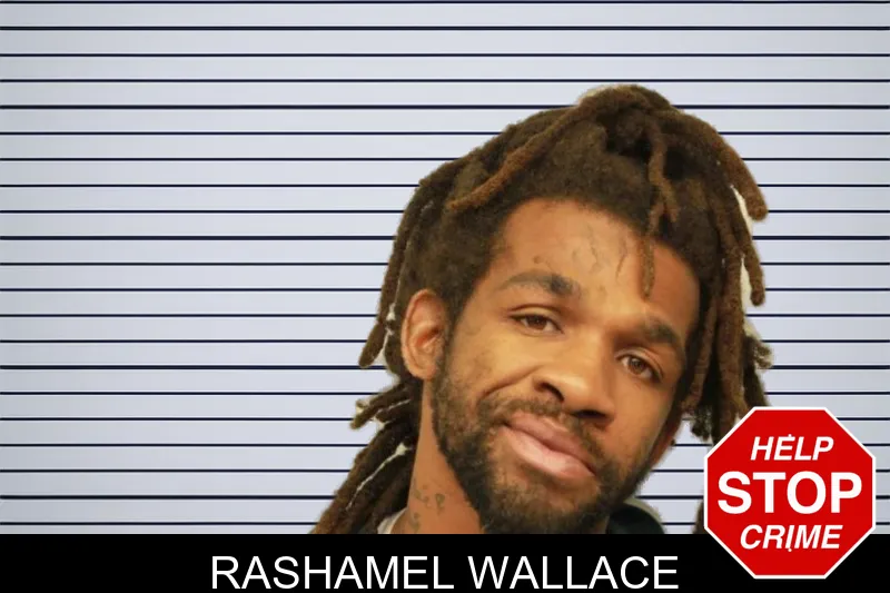 Rashamel Wallace mugshot – Chatham County , Georgia Rashamel Wallace mugshot
