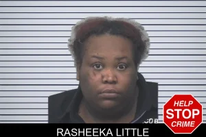Rasheeka Little mugshot