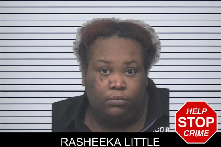 Rasheeka Little mugshot – Gwinnett County , Georgia Rasheeka Little