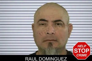 Raul Dominguez mugshot