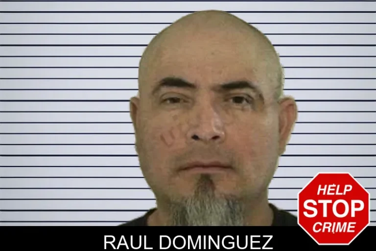 Raul Dominguez