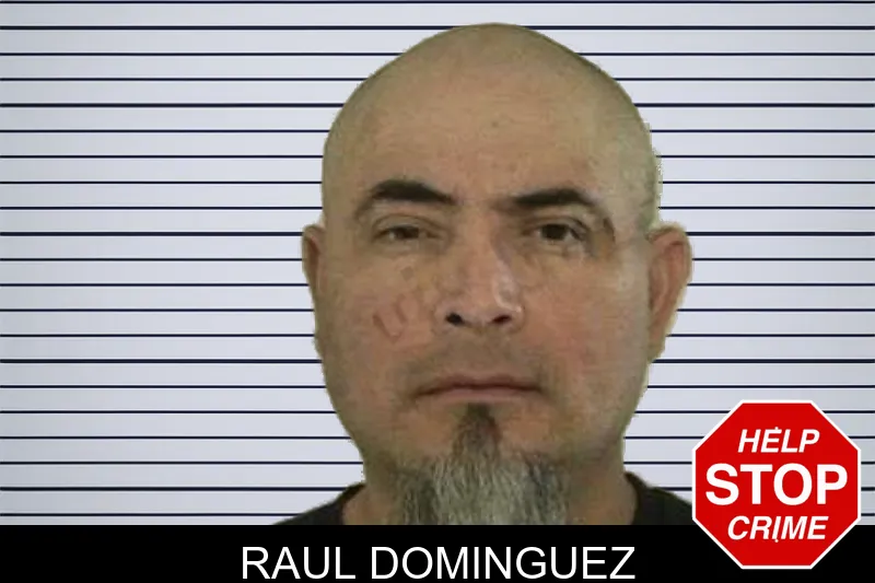 Raul Dominguez mugshot