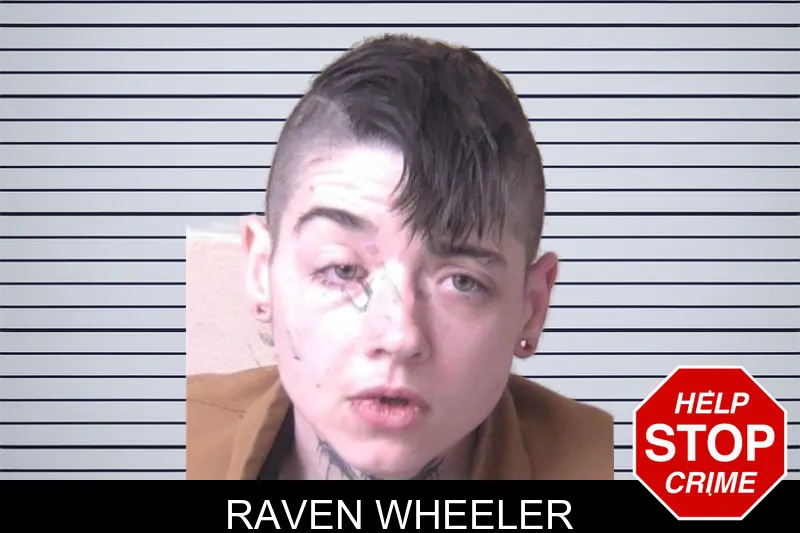 Raven Wheeler mugshot