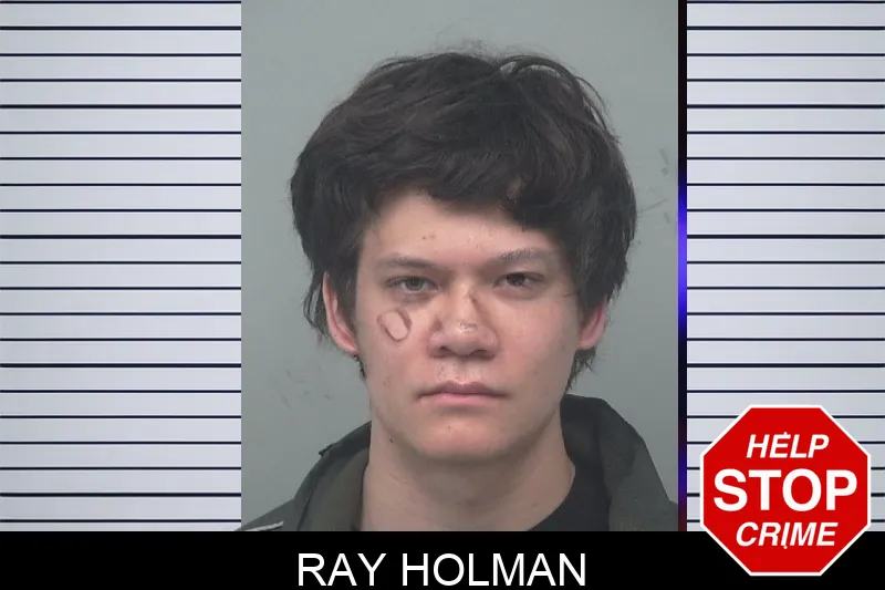 Ray Holman mugshot – Gwinnett County , Georgia Ray Holman mugshot