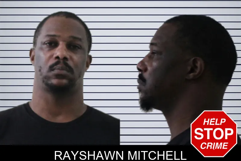 Rayshawn Mitchell mugshot
