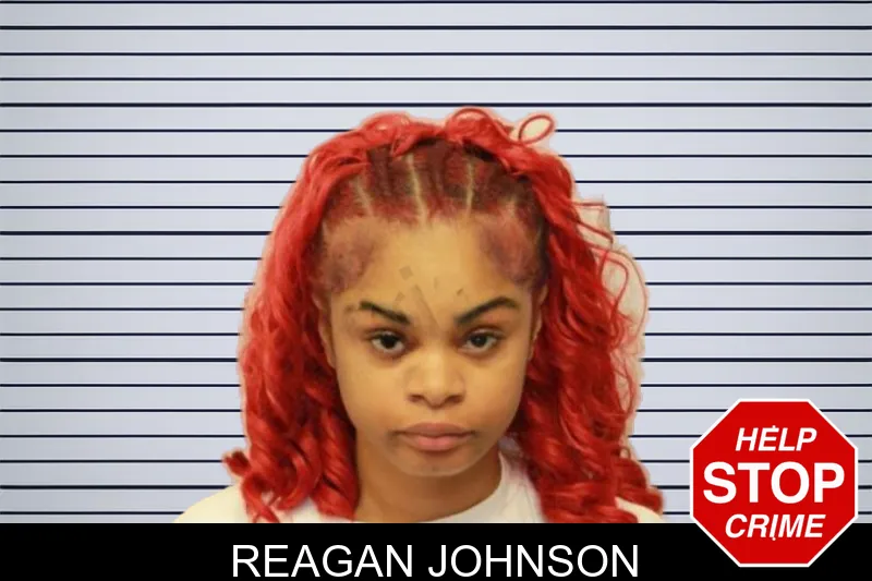 Reagan Johnson mugshot