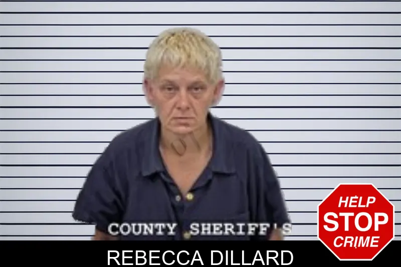 Rebecca Dillard mugshot