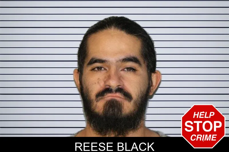 Reese Black mugshot