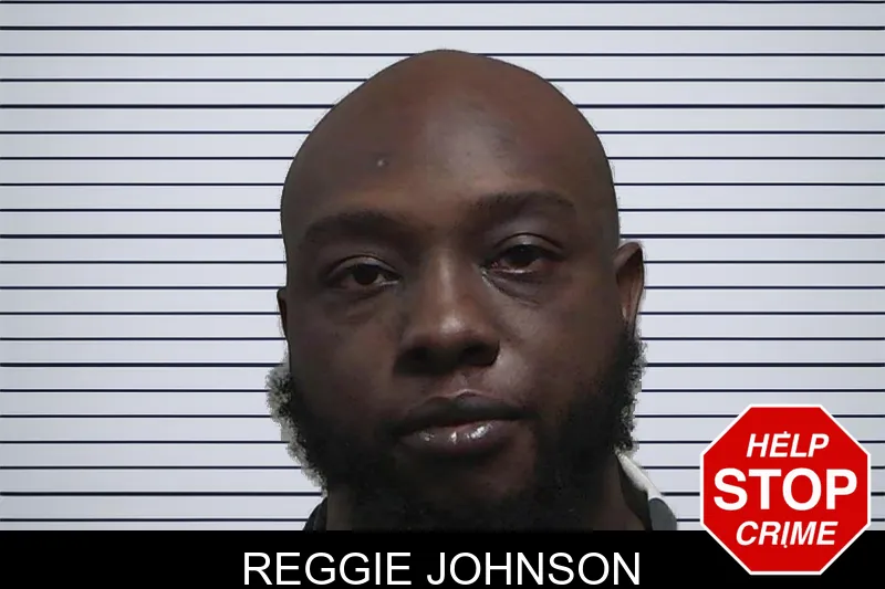 Reggie Johnson mugshot