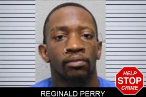 Reginald Perry mugshot