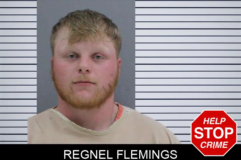 Regnel Flemings mugshot – Rabun County , Georgia Regnel Flemings mugshot