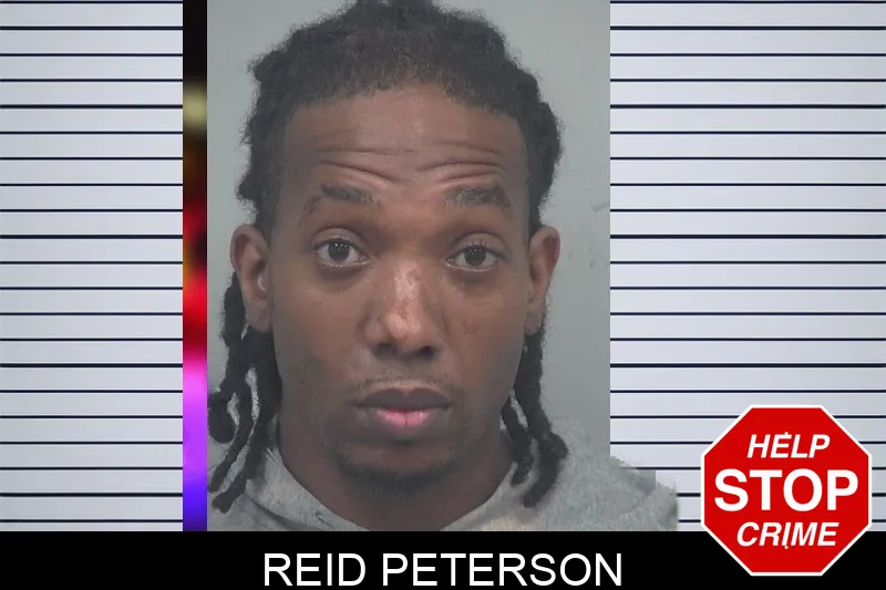 Reid Peterson mugshot