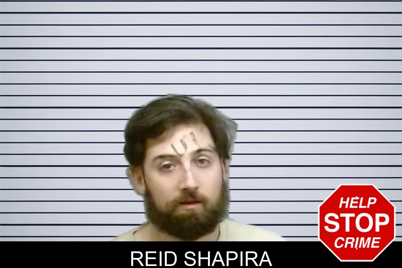 Reid Shapira mugshot – Fulton County , Georgia Reid Shapira mugshot