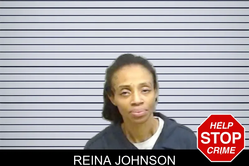 Reina Johnson mugshot – Fulton County , Georgia Reina Johnson mugshot