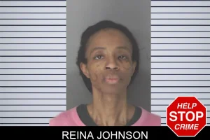 Reina Johnson mugshot