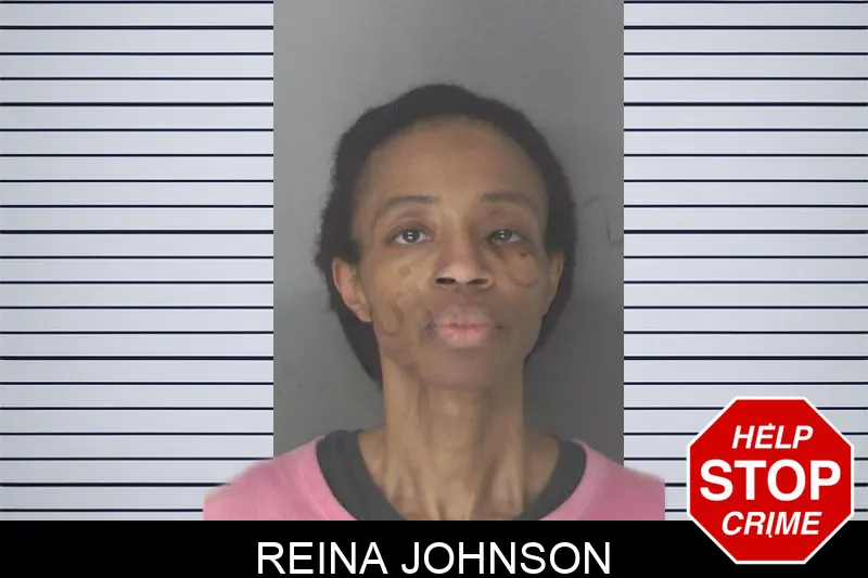 Reina Johnson mugshot