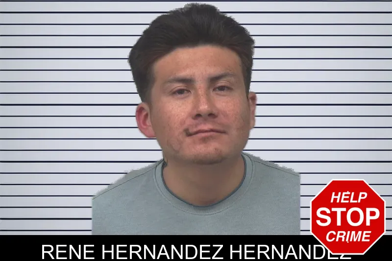 Rene Hernandez Hernandez mugshot