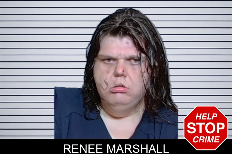Renee Marshall mugshot – Glynn County , Georgia Renee Marshall mugshot