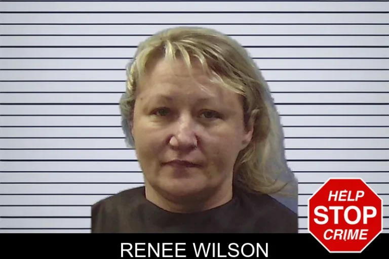 Renee Wilson mugshot – Chattooga County , Georgia Renee Wilson