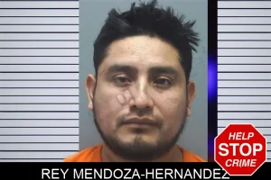 Rey Mendoza-Hernandez mugshot