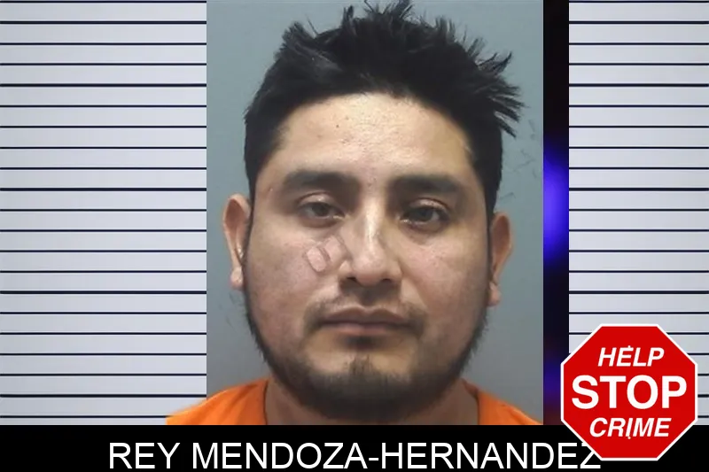Rey Mendoza-Hernandez mugshot