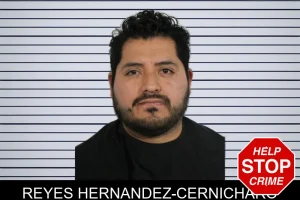 Reyes Hernandez-Cernicharo mugshot