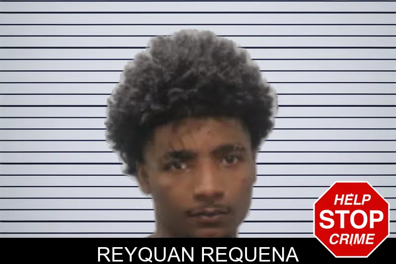 Reyquan Requena mugshot