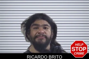 Ricardo Brito mugshot