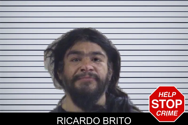Ricardo Brito mugshot