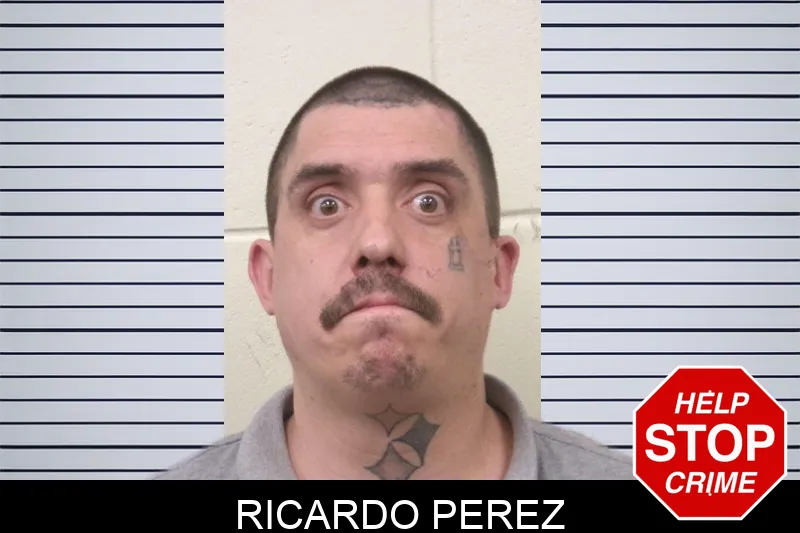 Ricardo Perez mugshot