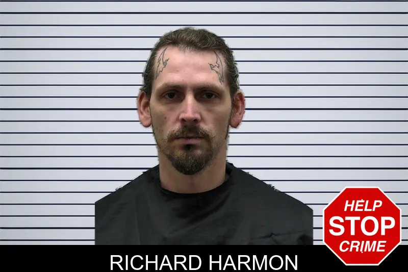Richard Harmon mugshot