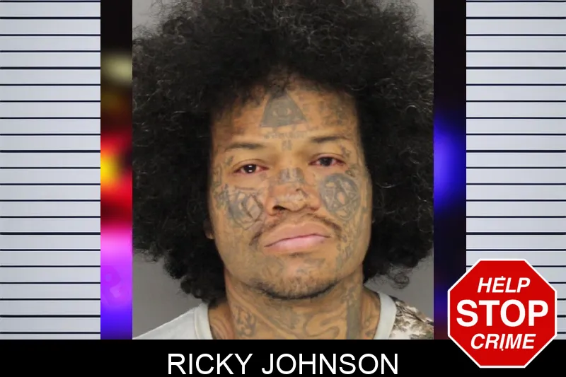 Ricky Johnson mugshot – Cobb County , Georgia Ricky Johnson mugshot