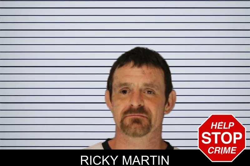 Ricky Martin mugshot – Hall County , Georgia Ricky Martin mugshot