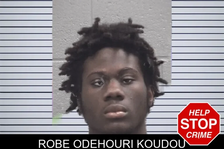 Robe Odehouri Koudou mugshot – Columbia County , Georgia Robe Odehouri Koudou