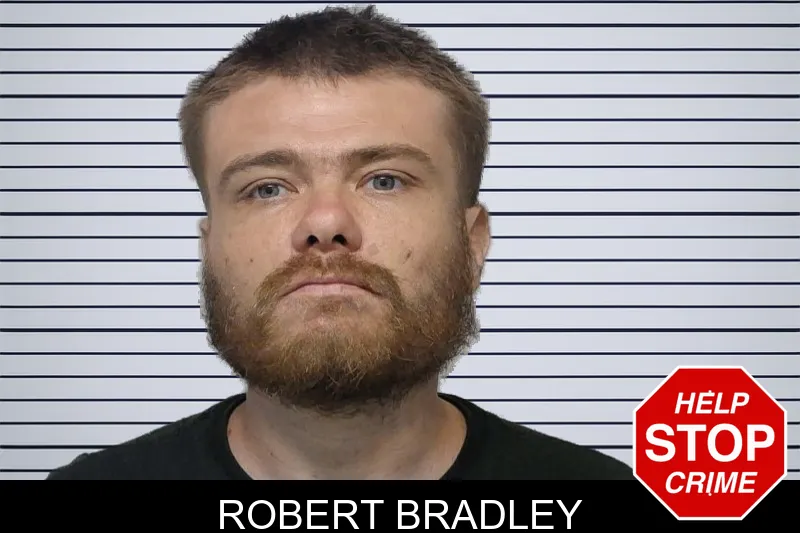 Robert Bradley mugshot