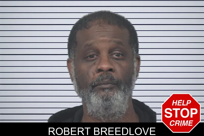 Robert Breedlove mugshot – Gwinnett County , Georgia Robert Breedlove mugshot