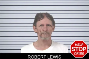 Robert Lewis mugshot