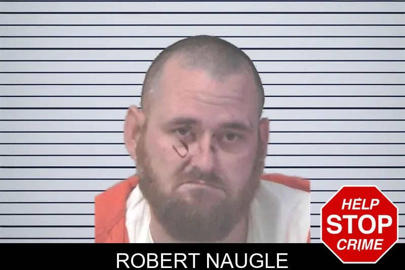 Robert Naugle mugshot