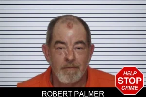 Robert Palmer mugshot