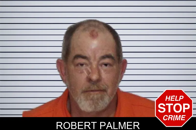 Robert Palmer mugshot