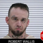 Robert Wallis mugshot